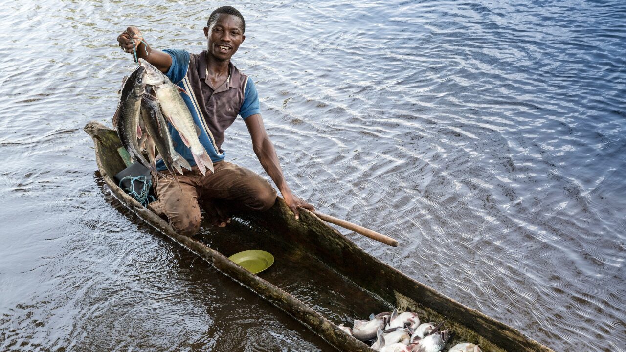 fisheries