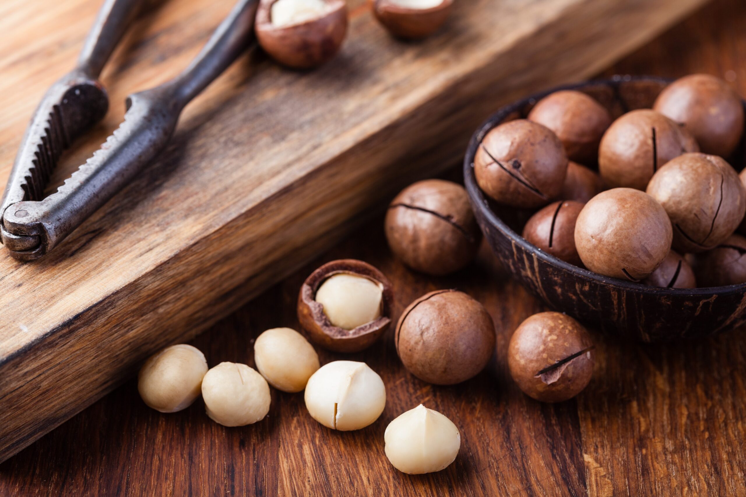 Macadamia Nut 