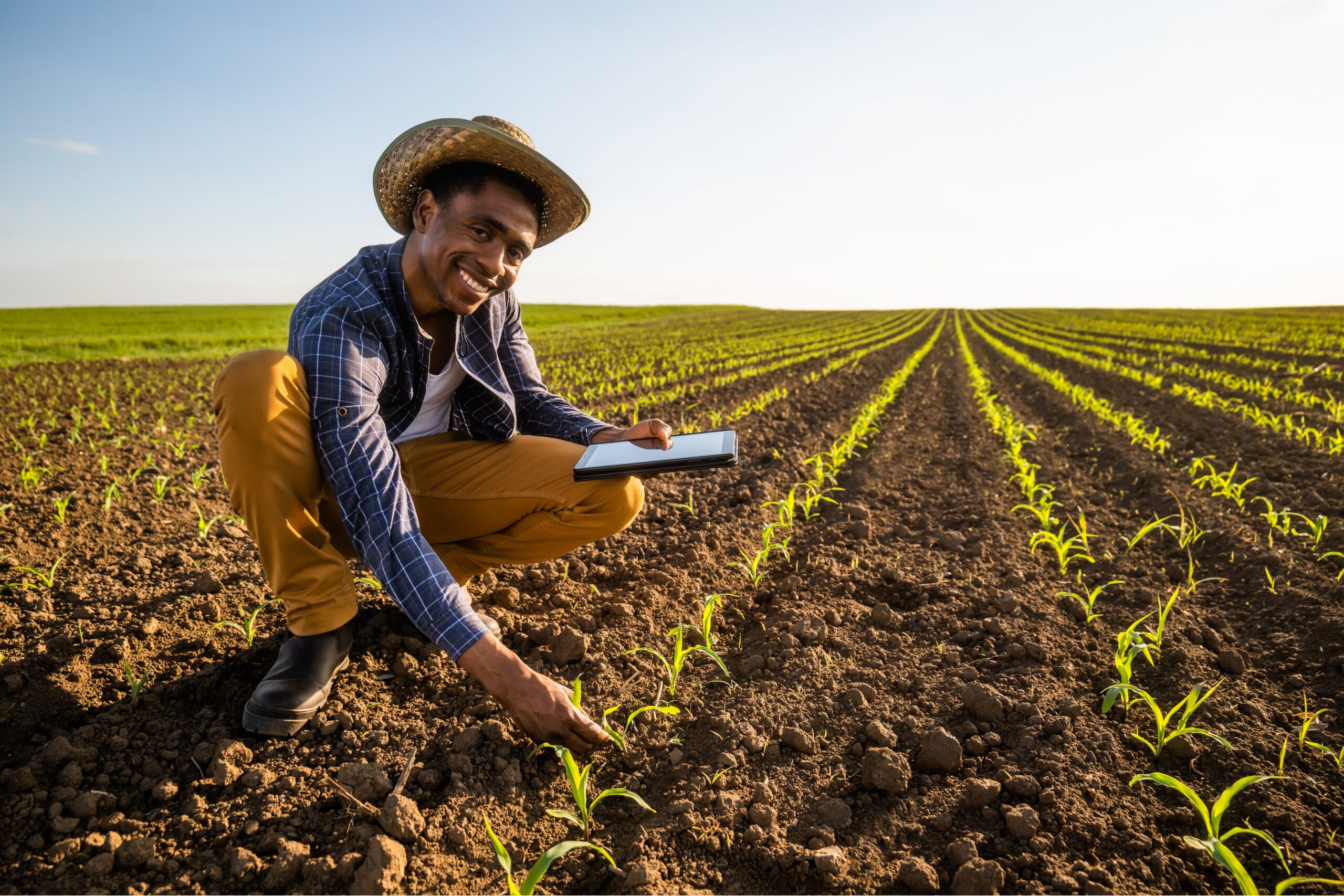 man with tablet in crop field