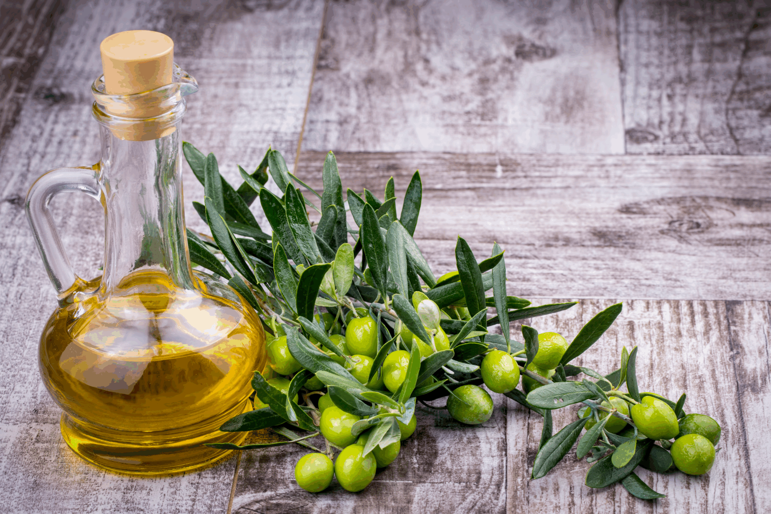 olive oil with bottle olive oil with bottle