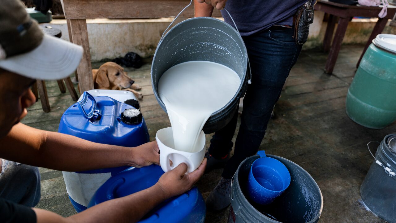  a farmer is pouring milk