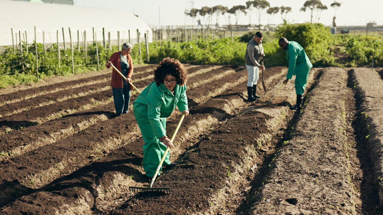workers on farming land workers are working on farming land