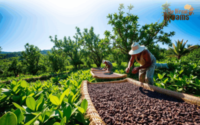 Clove Cultivation in Comoros: Exploring Its Economic Potential