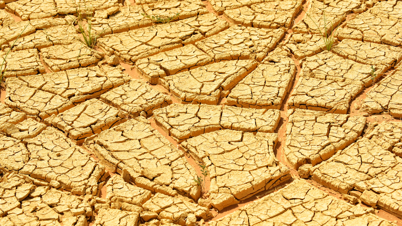 Drought-hit farmland in Darfur, Sudan