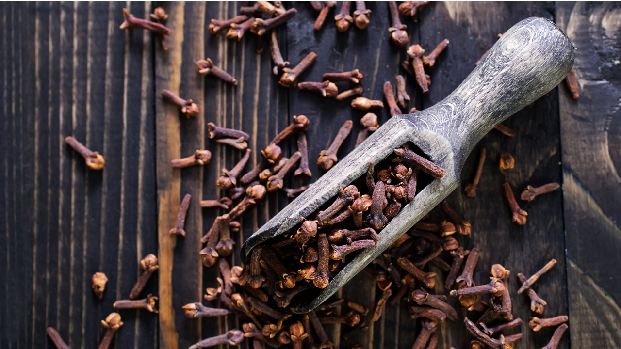 Farmer drying harvested cloves