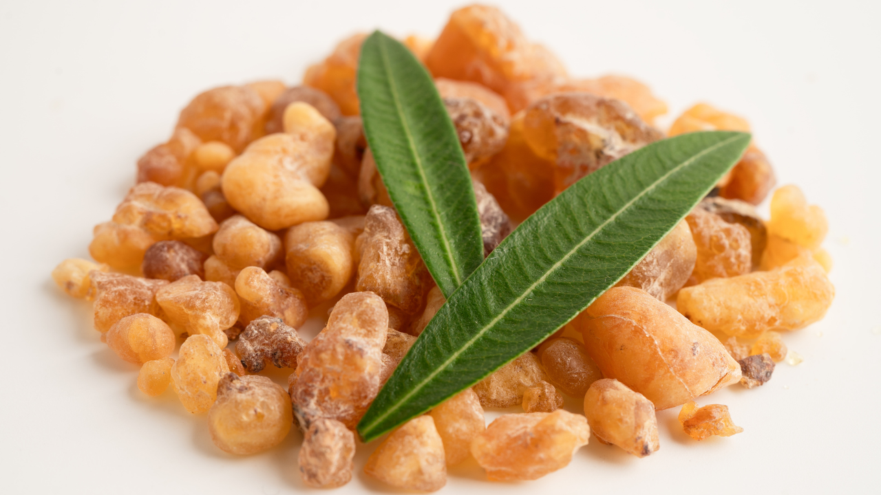 Gum Arabic, an essential product in food, cosmetics, and pharmaceuticals