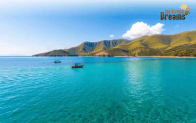 Investment Opportunities in Malawi: Key Sectors and Business Climate