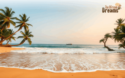 Business Opportunities in The Gambia for Foreign Investors