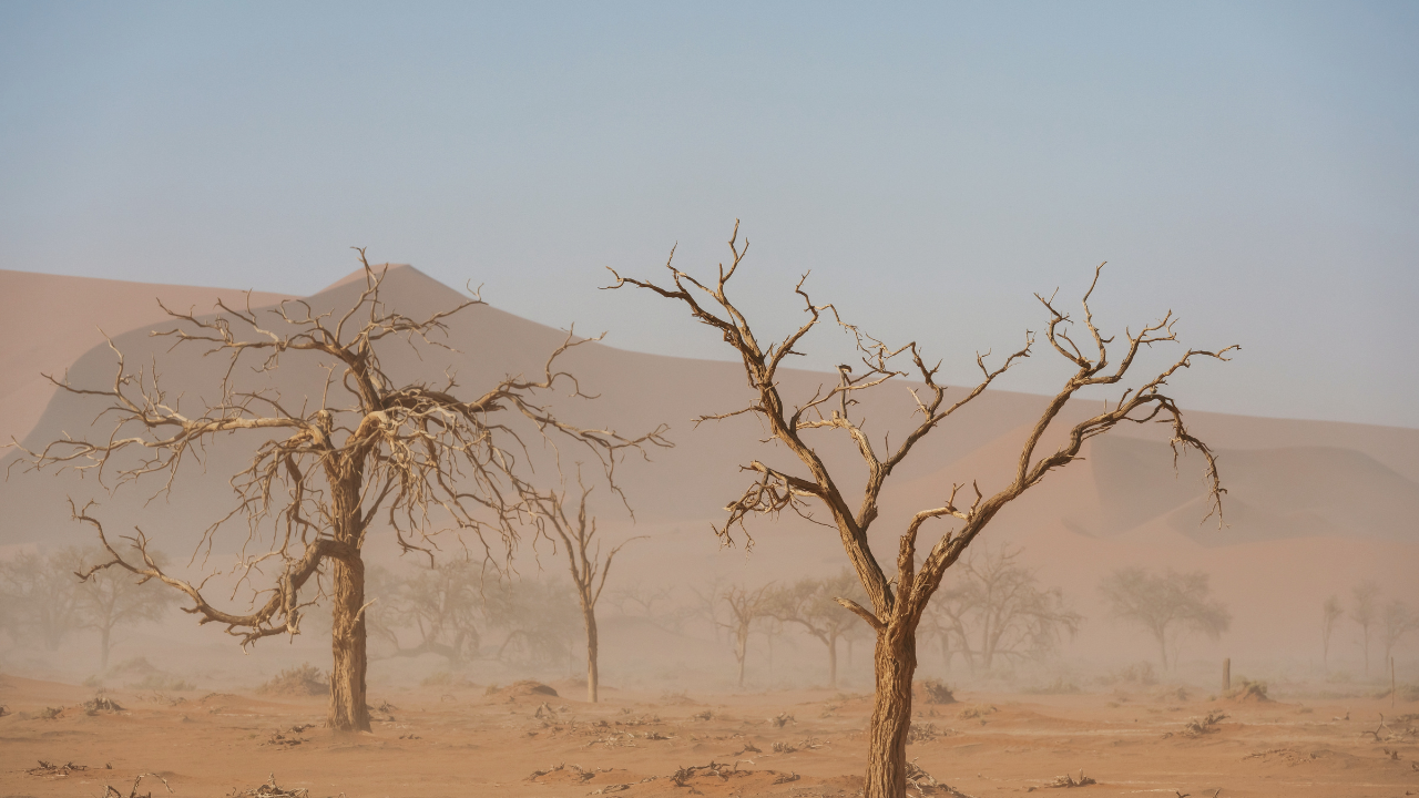 The desertification crisis in Sudan, visualized