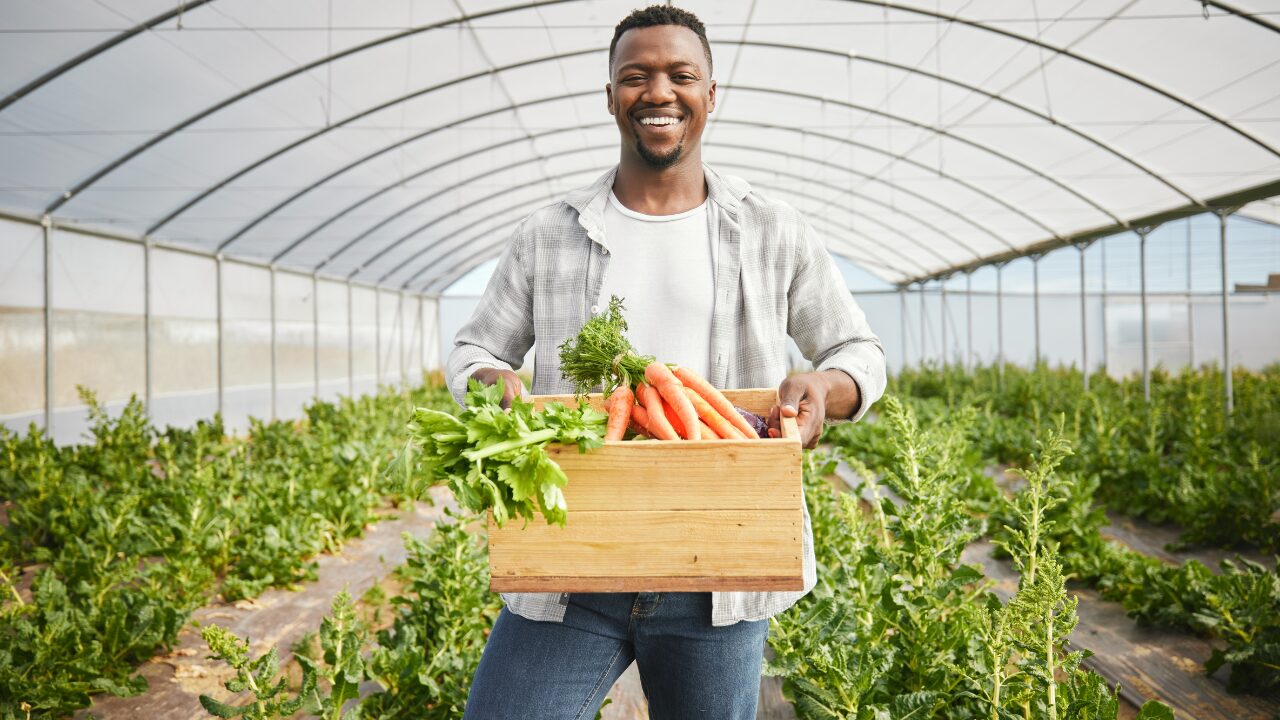 farmer is holding carrot a farmer is holding carrot