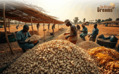 Gambia’s Peanuts: Transforming History, Enriching Cuisine, and Unlocking Global Potential