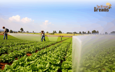 A Look into the Irrigation Systems in Use in Kenya