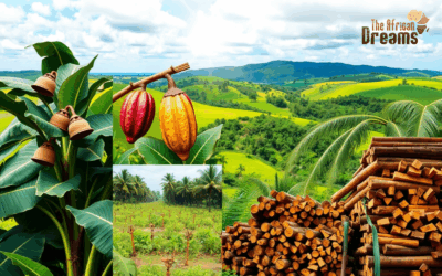 Discover the 4 Main Cash Crops of Liberia!