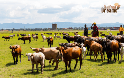 Raising the Bar: Kenya’s Livestock Industry