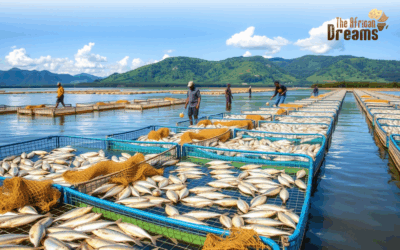 Fisheries And Aquaculture in Zimbabwe