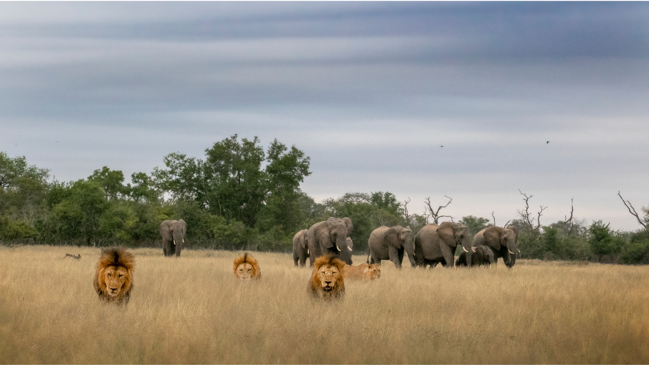 Hwange National Park Hwange National Park