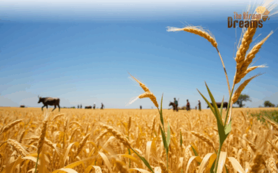 Zimbabwe’s Agricultural Sector: An Overview of Sorghum and Millet