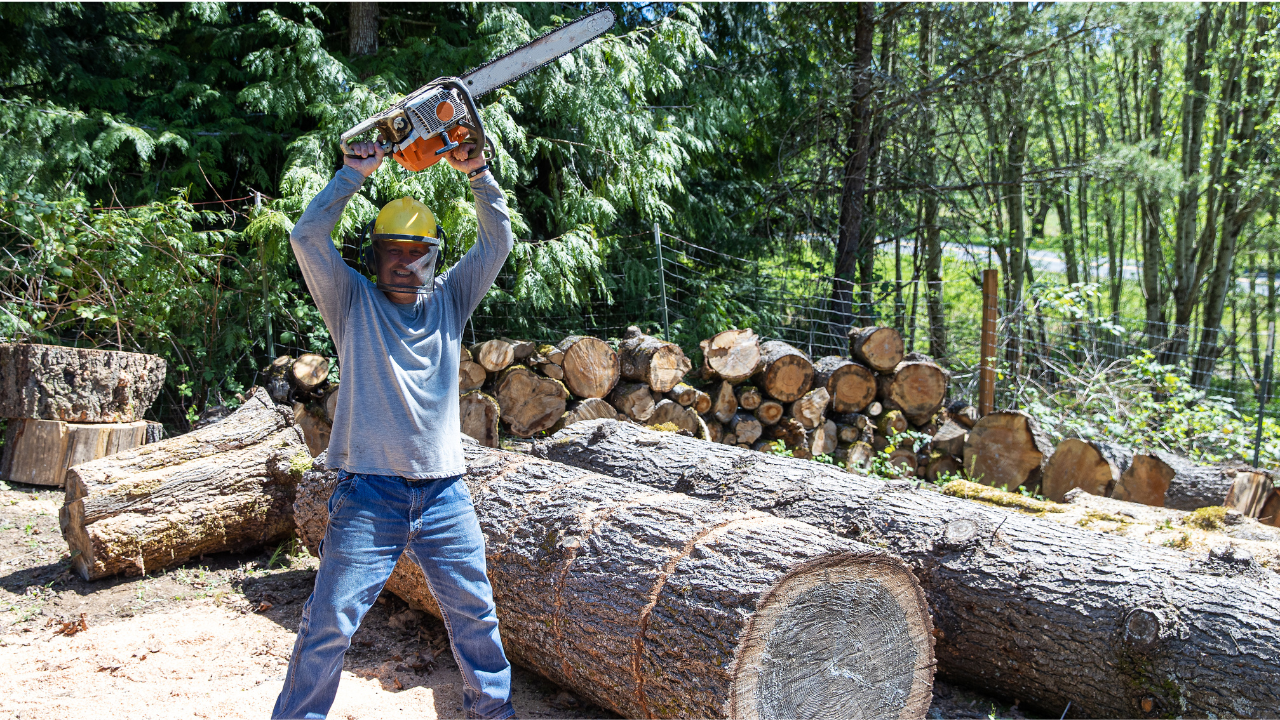 a man is cutting timber a man is cutting timber
