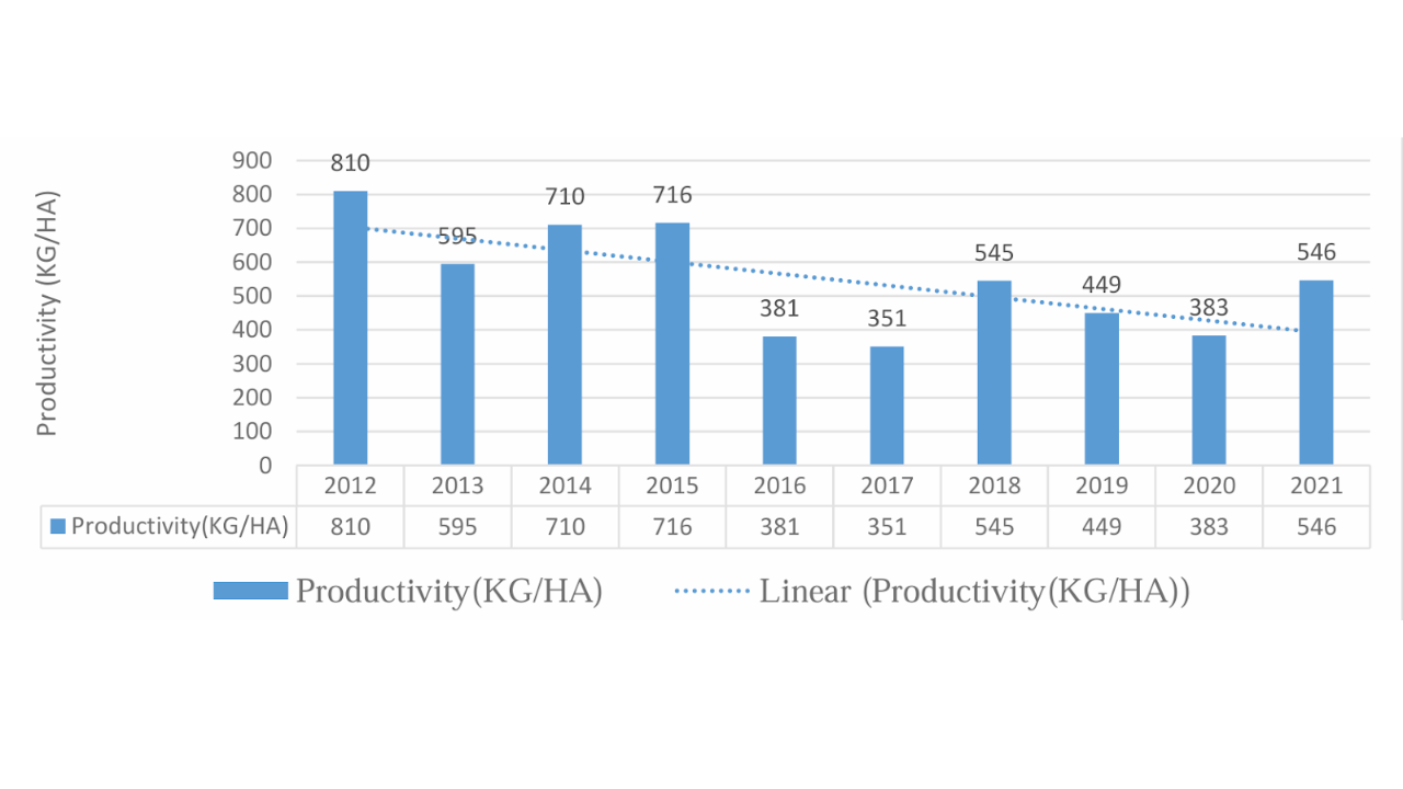 This graph gives an idea of how much cotton was produced per hectare (KG/HA) from 2012 to 2021. The solid bars show the actual amounts each year, while the dotted line helps visualize the general pattern over time.