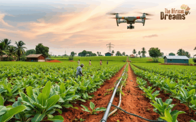 Ghana’s Agricultural Sector: Implementing Potential Features