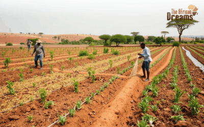 Zimbabwe’s Agriculture: Farmers Adapting to Climate Change for More Crops
