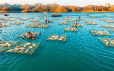 Comoros 3 Fisheries Sector in Zimbabwe: A Quick Look