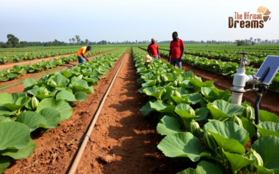 Comoros 2 Farming Zucchini and Squash: The Niche Vegetables for Congo Markets