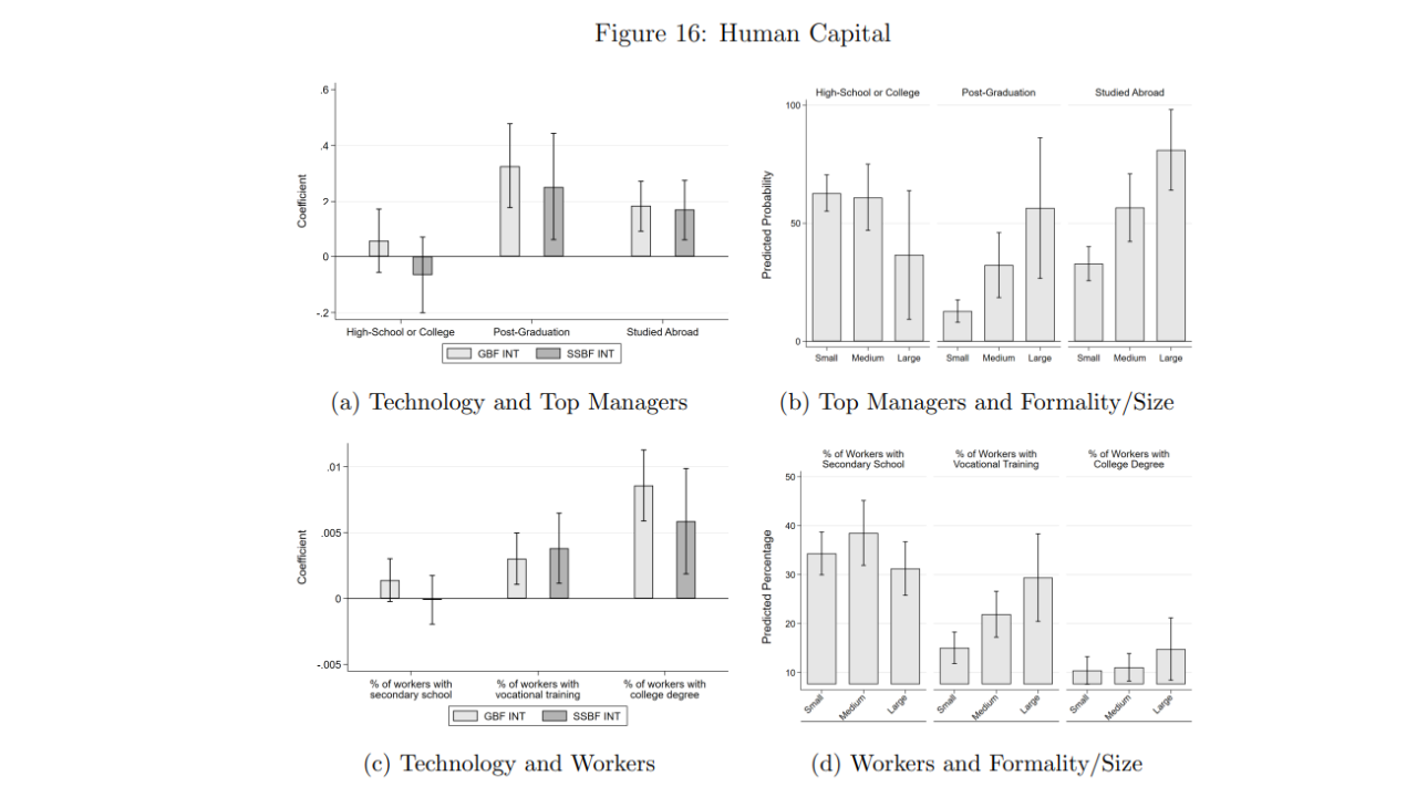 between human capital and technology 