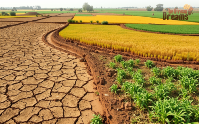 Challenges in Cereal Crops of Uganda: Millet, Sorghum, and Finger Millet