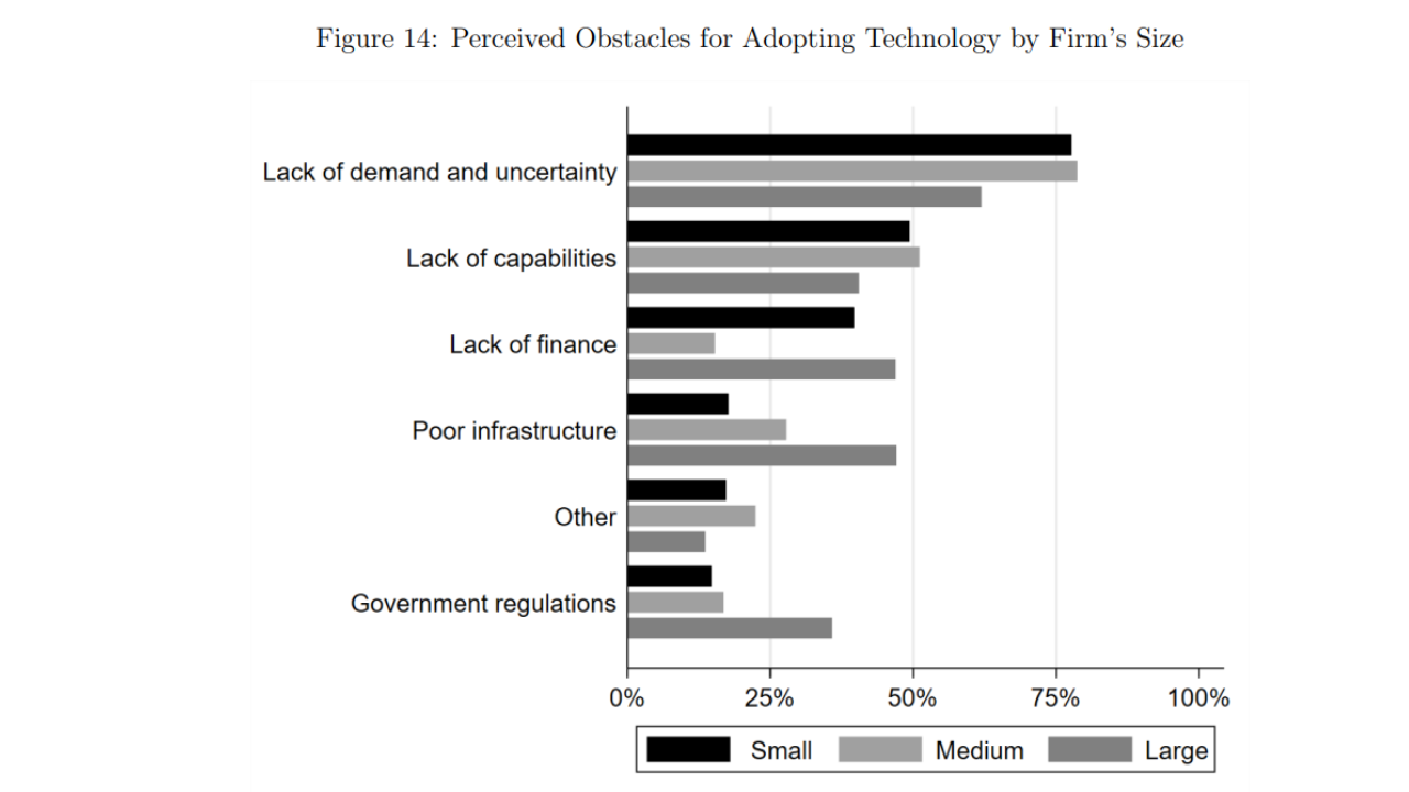  main obstacles by size group