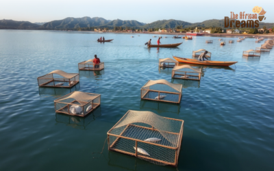 Top 5 Reasons to Invest in Malawi’s Fisheries Sector