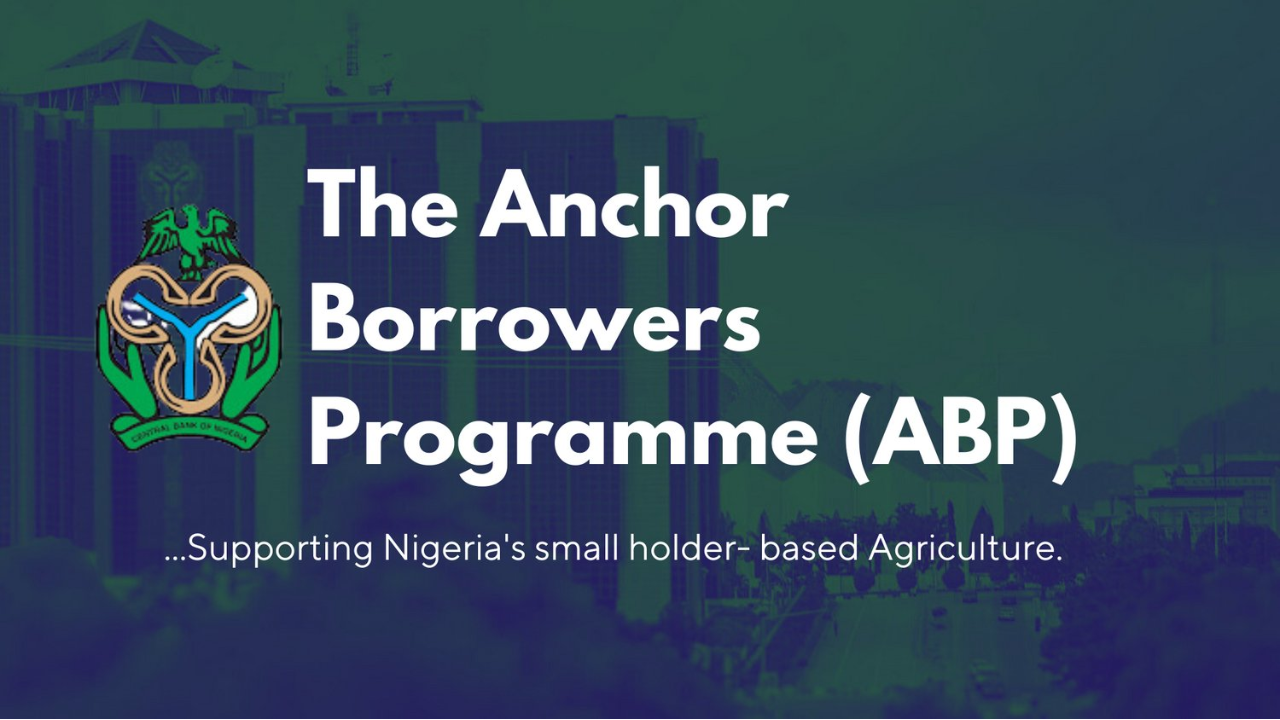 Banner for the Anchor Borrowers Programme (ABP)