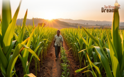 The Role of Maize in Ethiopia