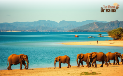 Travel to Malawi: 5 Best Places to Visit