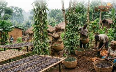 Congo’s Spice Cultivation