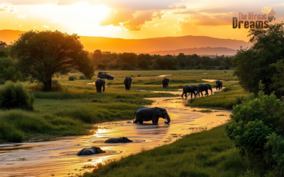 Comoros 2 Why Visit Malawi: Best Malawi Safari Tours & Holidays