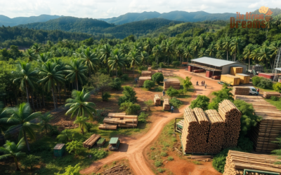 Building Sustainable Teak in the Congo: Effective Harvest and Export Growth