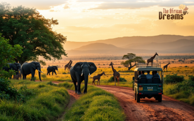 Travel Tips for Uganda You Should Know Before You Visit