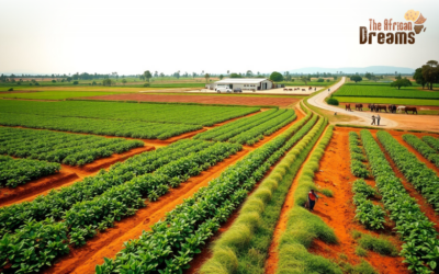 Investing in Agriculture in Burundi: An Overview