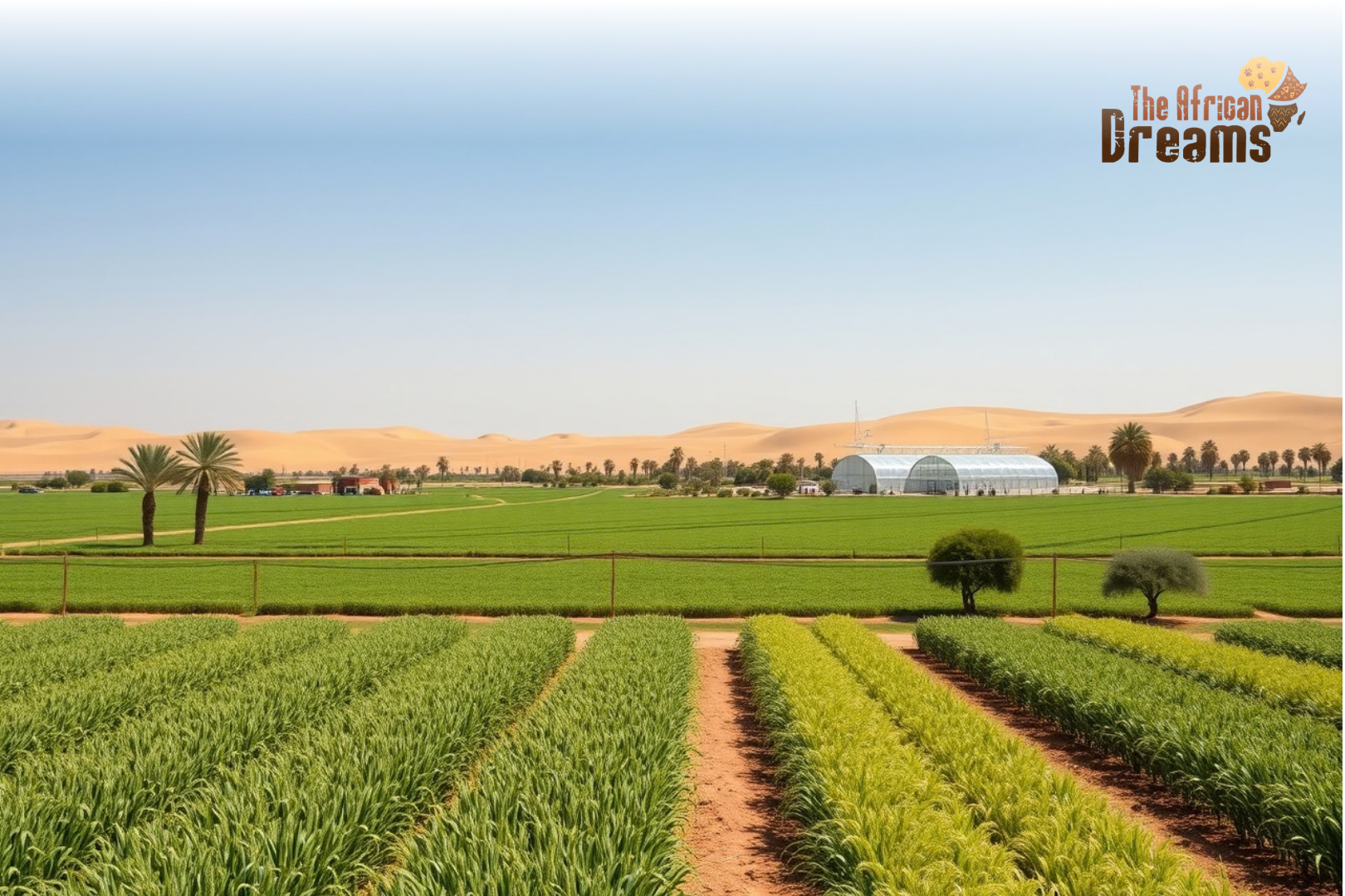 Agriculture in Libya Agriculture in Libya